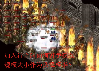 加入行会时如何避免仅以规模大小作为选择标准? 加入行会时如何避免仅以规模大小作为选择标准?