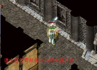 道士在传奇私服中如何快速升级? 道士在传奇私服中如何快速升级?