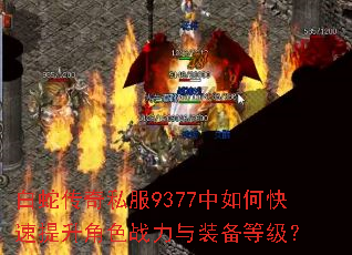 ���ߴ���˽��9377����ο���������ɫս����װ���ȼ���