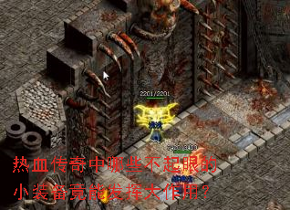 热血传奇中哪些不起眼的小装备竟能发挥大作用? 热血传奇中哪些不起眼的小装备竟能发挥大作用?