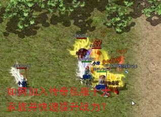 如何加入传奇私服十大家族并快速提升战力? 如何加入传奇私服十大家族并快速提升战力?