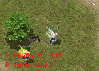 如何快速提升bt单职业传奇角色战斗力? 如何快速提升bt单职业传奇角色战斗力?