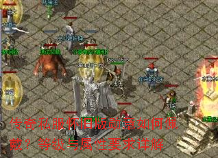 传奇私服怀旧版勋章如何佩戴?等级与属性要求详解 传奇私服怀旧版勋章如何佩戴?等级与属性要求详解