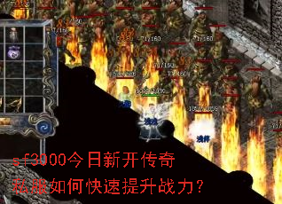 sf3000�����¿�����˽����ο�������ս����