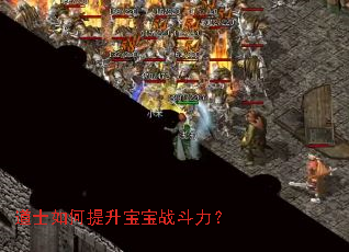 道士如何提升宝宝战斗力? 道士如何提升宝宝战斗力?