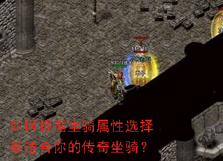 如何根据坐骑属性选择最适合你的传奇坐骑? 如何根据坐骑属性选择最适合你的传奇坐骑?
