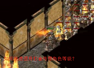 如何快速提升打金传奇角色等级? 如何快速提升打金传奇角色等级?