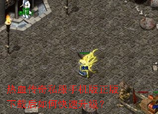 热血传奇私服手机版正版下载后如何快速升级? 热血传奇私服手机版正版下载后如何快速升级?