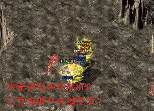 传奇游戏中功能NPC究竟有哪些关键用途? 传奇游戏中功能NPC究竟有哪些关键用途?