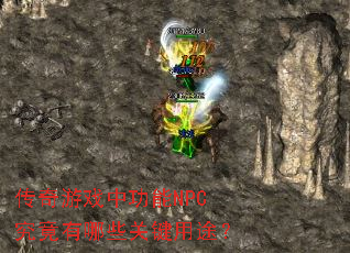 传奇游戏中功能NPC究竟有哪些关键用途? 传奇游戏中功能NPC究竟有哪些关键用途?