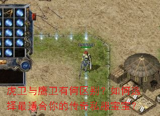 虎卫与鹰卫有何区别?如何选择最适合你的传奇私服宝宝? 虎卫与鹰卫有何区别?如何选择最适合你的传奇私服宝宝?