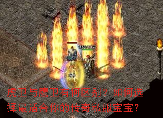 虎卫与鹰卫有何区别?如何选择最适合你的传奇私服宝宝? 虎卫与鹰卫有何区别?如何选择最适合你的传奇私服宝宝?
