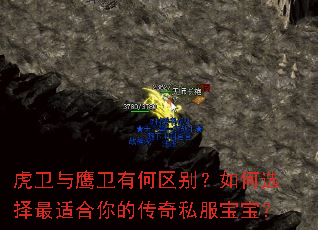 虎卫与鹰卫有何区别?如何选择最适合你的传奇私服宝宝? 虎卫与鹰卫有何区别?如何选择最适合你的传奇私服宝宝?