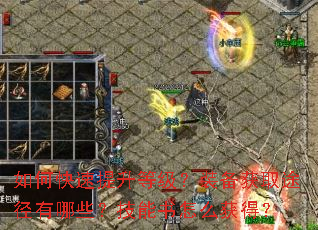 如何快速提升等级?装备获取途径有哪些?技能书怎么获得? 如何快速提升等级?装备获取途径有哪些?技能书怎么获得?