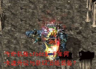 ����˽��sf666������ο����������ȡ����װ����