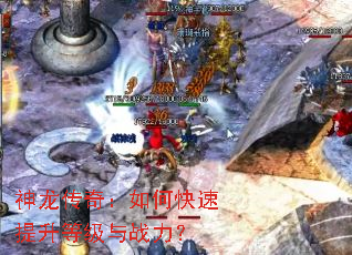 神龙传奇:如何快速提升等级与战力? 神龙传奇:如何快速提升等级与战力?