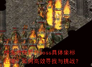 �������Ұ��boss�����������ģ���θ�ЧѰ������ս��