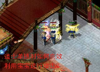 道士单挑时如何高效利用宝宝进行攻击? 道士单挑时如何高效利用宝宝进行攻击?