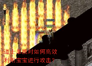 道士单挑时如何高效利用宝宝进行攻击? 道士单挑时如何高效利用宝宝进行攻击?