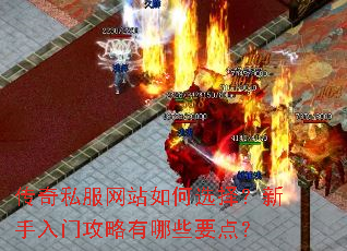 ����˽����վ���ѡ���������Ź�������ЩҪ�㣿