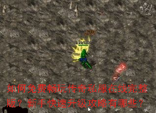 �����ѳ��洫��˽�����������棿���ֿ���������������Щ��