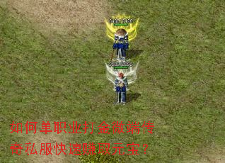 如何单职业打金微端传奇私服快速赚取元宝? 如何单职业打金微端传奇私服快速赚取元宝?