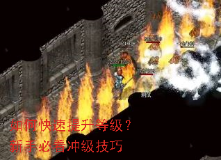 ��ο��������ȼ������ֱؿ��弶����