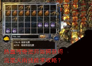 热血传奇法师如何获得流星火雨技能求攻略? 热血传奇法师如何获得流星火雨技能求攻略?