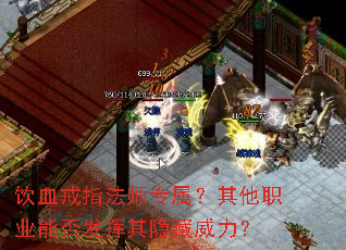 饮血戒指法师专属?其他职业能否发挥其隐藏威力? 饮血戒指法师专属?其他职业能否发挥其隐藏威力?