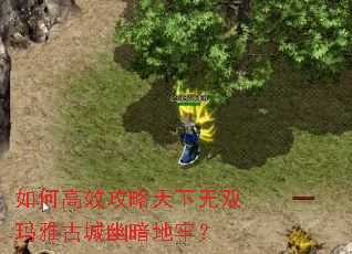 如何高效攻略天下无双玛雅古城幽暗地牢? 如何高效攻略天下无双玛雅古城幽暗地牢?