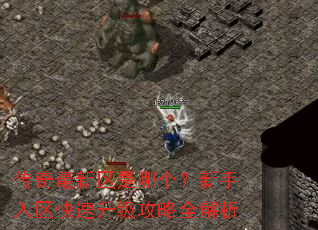 传奇最新区是哪个?新手入区快速升级攻略全解析 传奇最新区是哪个?新手入区快速升级攻略全解析