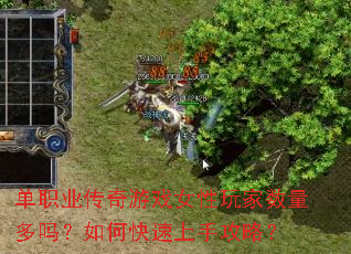 单职业传奇游戏女性玩家数量多吗?如何快速上手攻略? 单职业传奇游戏女性玩家数量多吗?如何快速上手攻略?