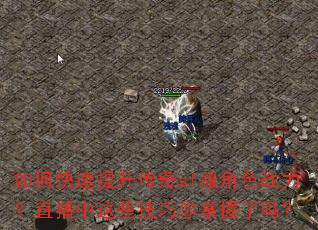 如何快速提升传奇sf服角色战力?直播中这些技巧你掌握了吗? 如何快速提升传奇sf服角色战力?直播中这些技巧你掌握了吗?