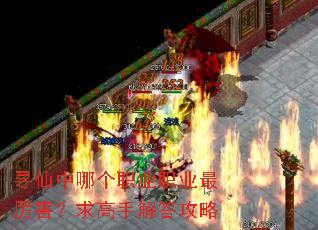 寻仙中哪个职业职业最厉害?求高手解答攻略 寻仙中哪个职业职业最厉害?求高手解答攻略