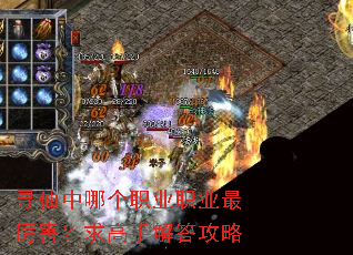 寻仙中哪个职业职业最厉害?求高手解答攻略 寻仙中哪个职业职业最厉害?求高手解答攻略