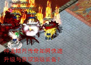 神龙皓月传奇如何快速升级与获取顶级装备? 神龙皓月传奇如何快速升级与获取顶级装备?