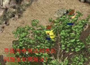 寻找传奇网站时遇到问题该如何解决? 寻找传奇网站时遇到问题该如何解决?