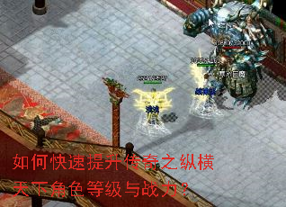 如何快速提升传奇之纵横天下角色等级与战力? 如何快速提升传奇之纵横天下角色等级与战力?