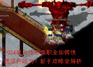 2024����浥ְҵ��ο�������ս�������ֹ���ȫ����
