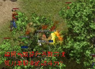 ��θ�Ч����ɱ¾����˫����ְҵ��ս������