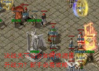 决战天下公会如何快速提升战力?新手必看攻略 决战天下公会如何快速提升战力?新手必看攻略