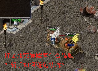 ������������ʲôè�壿������α��ⱻ�ӣ�