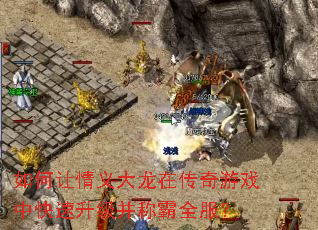 如何让情义大龙在传奇游戏中快速升级并称霸全服? 如何让情义大龙在传奇游戏中快速升级并称霸全服?