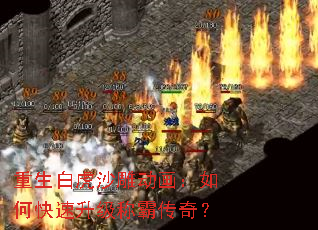 �����׻�ɳ�񶯻�����ο��������ưԴ��棿