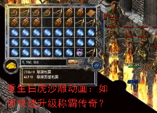 �����׻�ɳ�񶯻�����ο��������ưԴ��棿