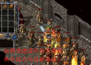 如何快速提升风云游戏角色战力与技能等级? 如何快速提升风云游戏角色战力与技能等级?