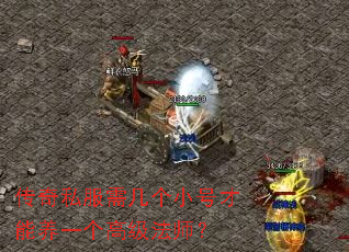 传奇私服需几个小号才能养一个高级法师? 传奇私服需几个小号才能养一个高级法师?