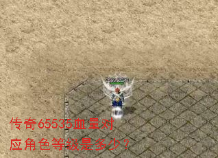 传奇65535血量对应角色等级是多少? 传奇65535血量对应角色等级是多少?