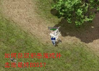 如何获取邪恶魔戒并击败最终BOSS? 如何获取邪恶魔戒并击败最终BOSS?