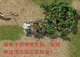 洛奇手游传奇之路,如何快速成为顶尖冒险者? 洛奇手游传奇之路,如何快速成为顶尖冒险者?